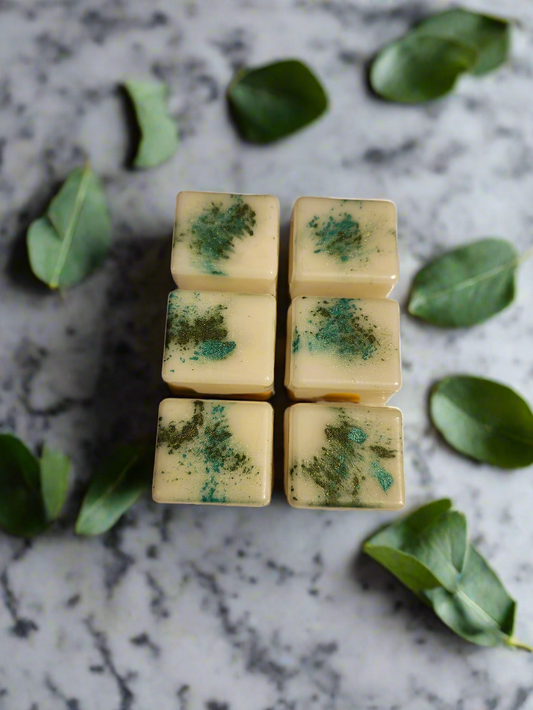 Eucalyptus & Spearmint Scented Wax Melts